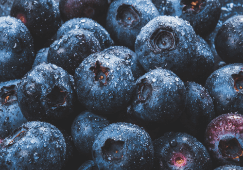 Fresh blueberries with water droplets — the visual register of the Nourish site