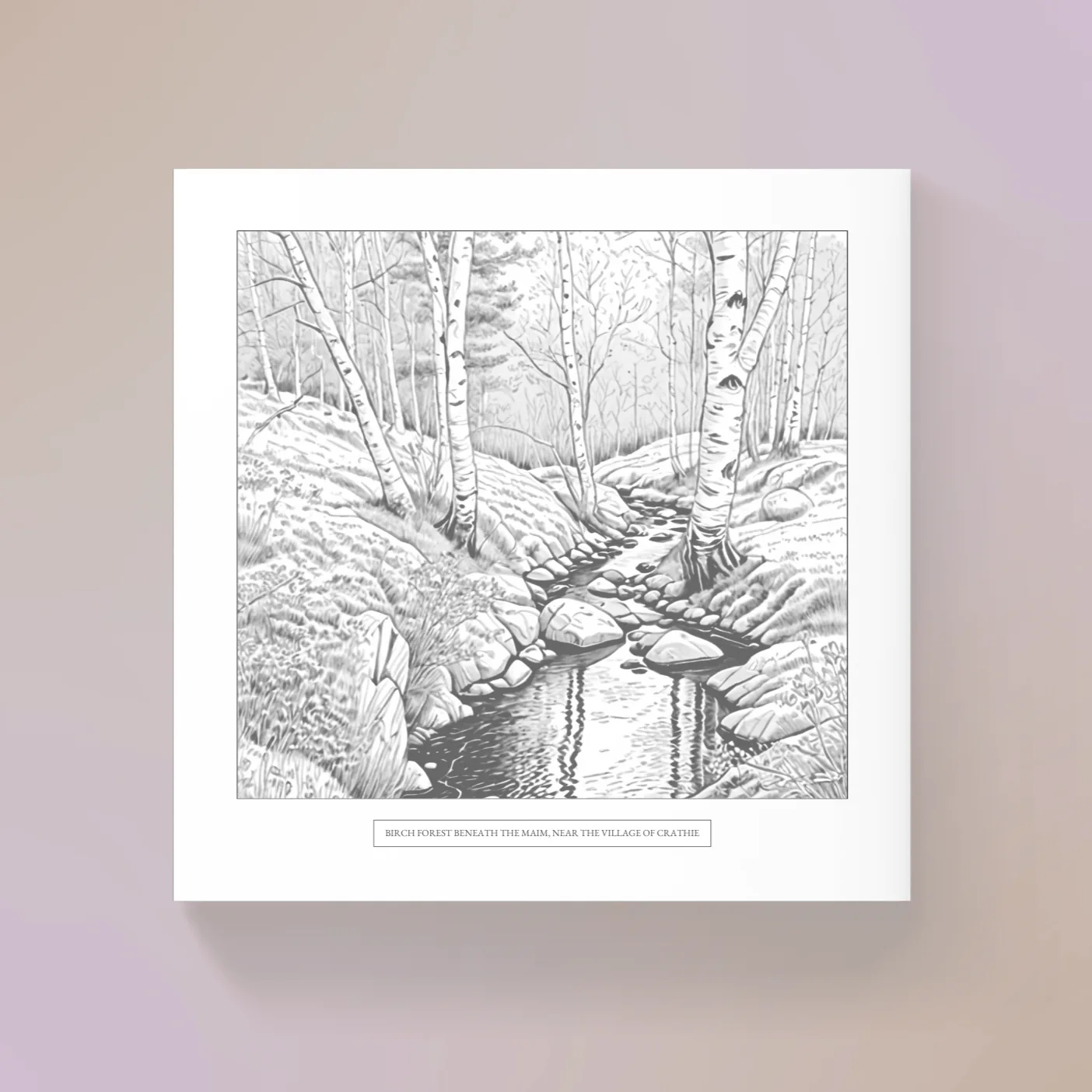 A single plate: birch trees over a rocky burn, drawn in fine grey line work, with a printed caption beneath