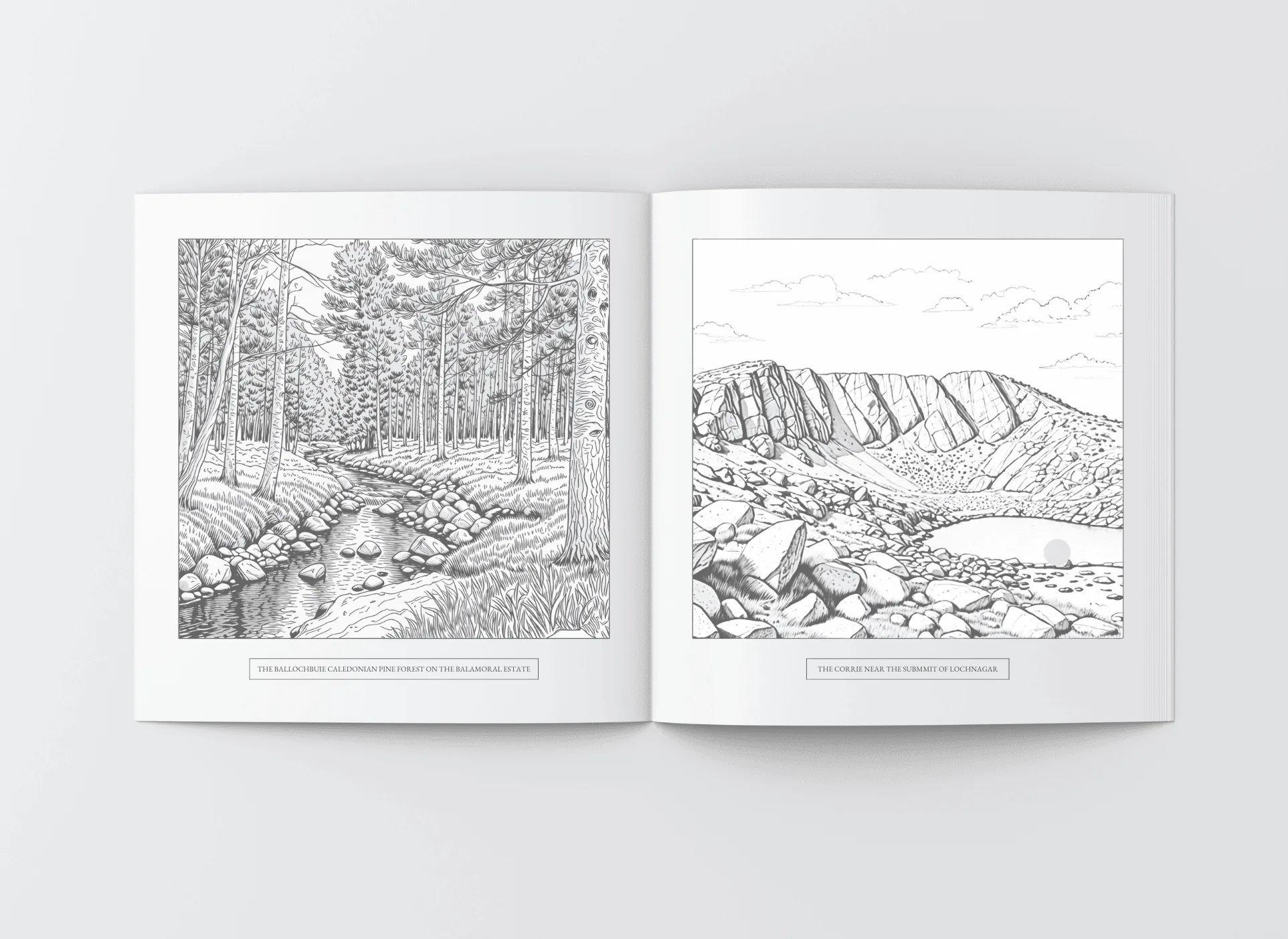 An open spread: the Ballochbuie pine forest on the left page, the corrie at Lochnagar on the right
